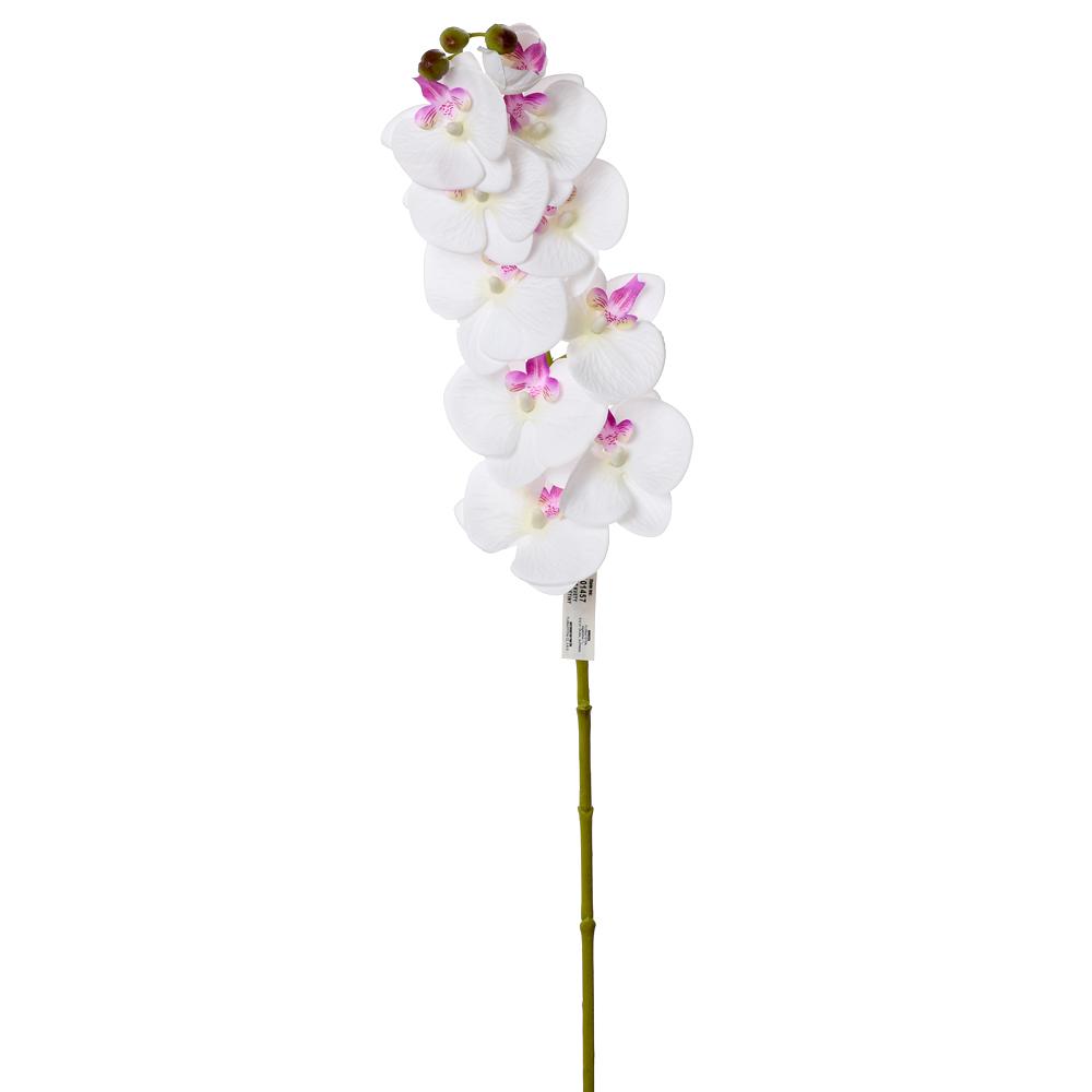 ORCHIDEJ bílo růžová 77CM_1